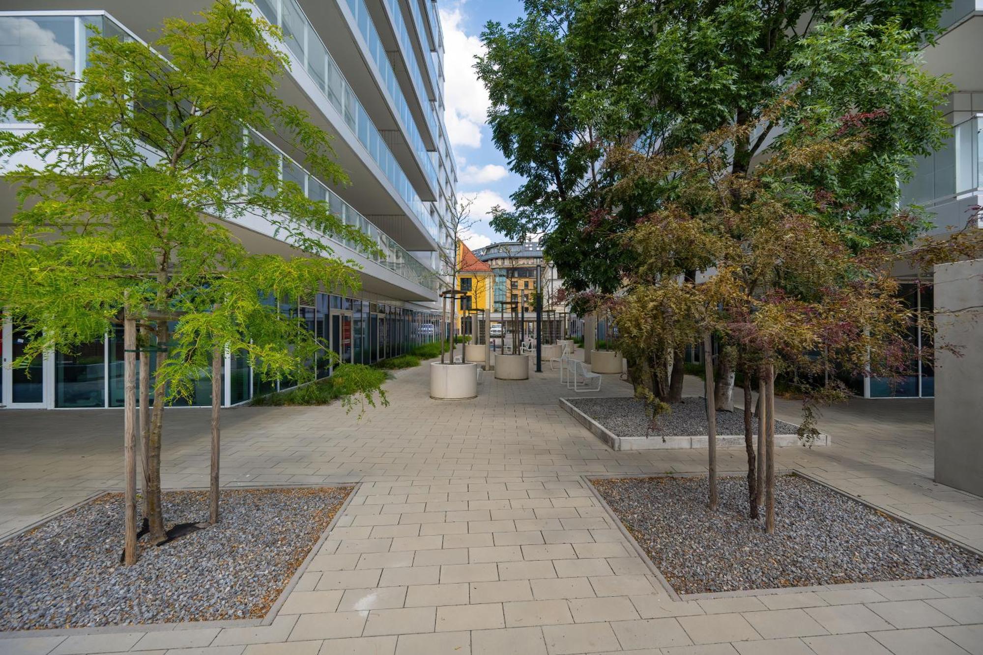 Elegancki Apartament Z Parkingiem Blisko Starego Miasta By Noclegi Renters Wrocław Buitenkant foto